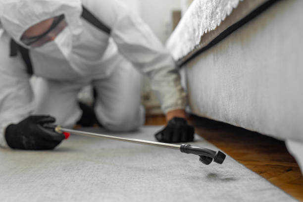 Professional Termite Control technician working in Easton, CA