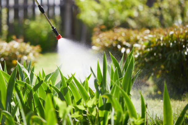 24/7 Emergency Termite Control experts in Easton, CA