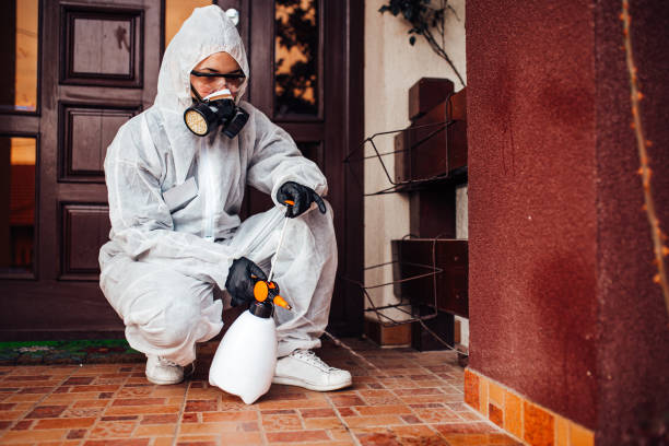 Reliable Termite Control contractor in Easton, CA by Nex Pest Control